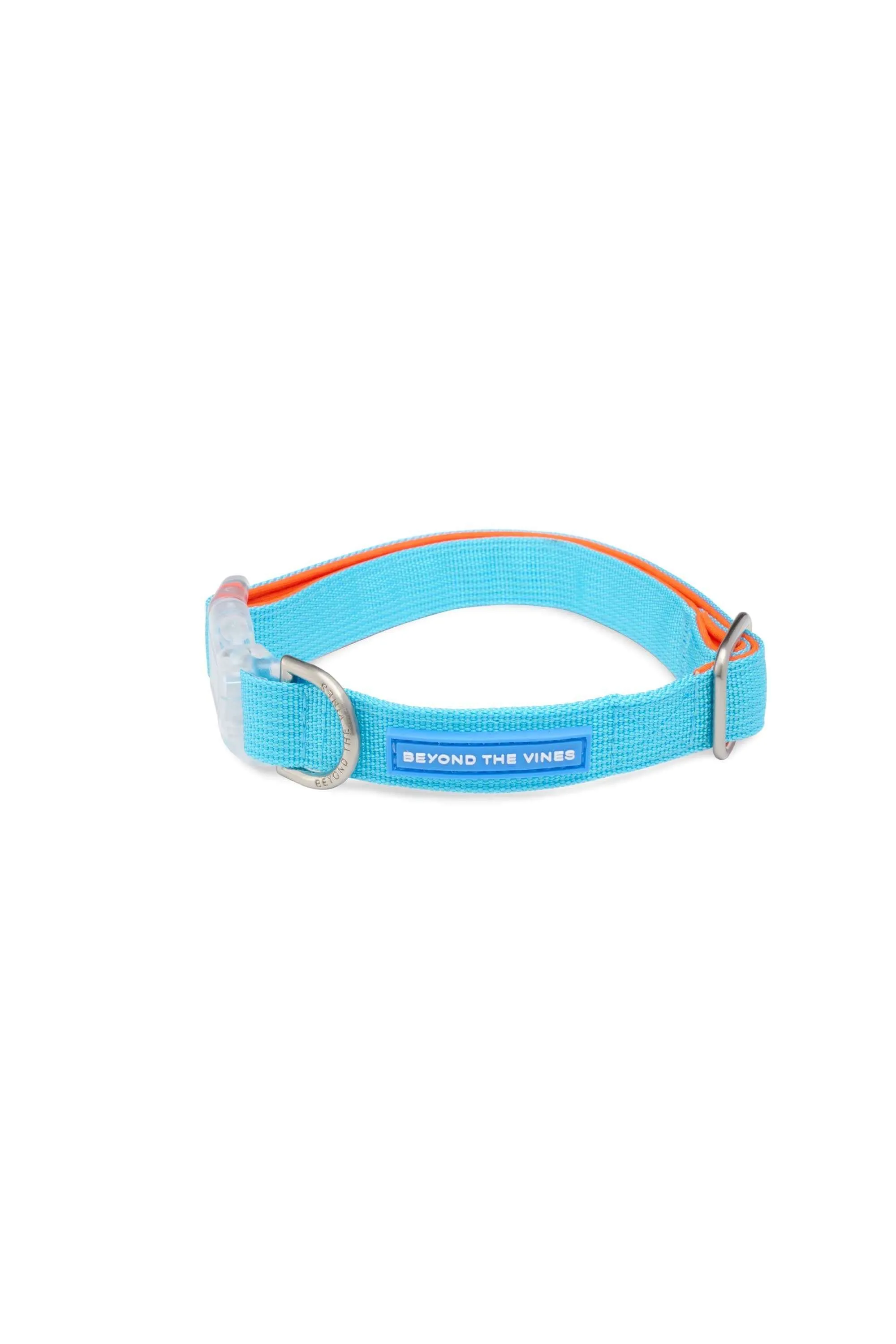 PETSCOLLAR_BLUE03.jpg